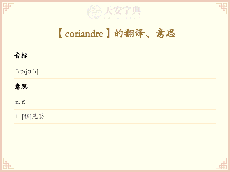 coriandre
