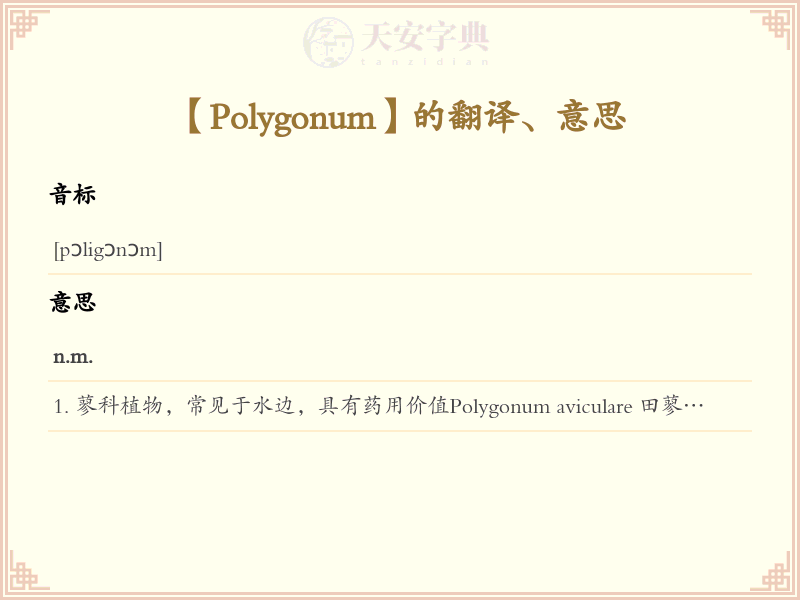 Polygonum