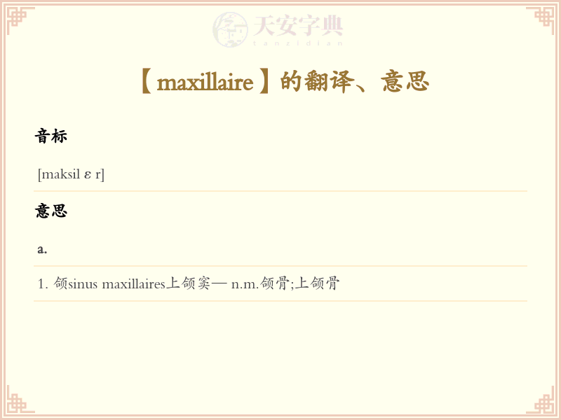 maxillaire