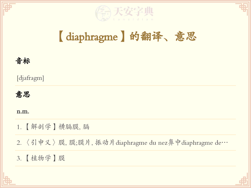 diaphragme