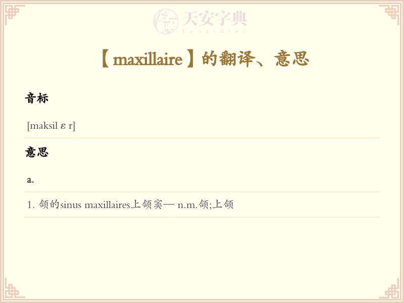 maxillaire