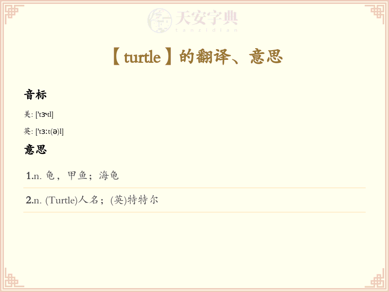 turtle