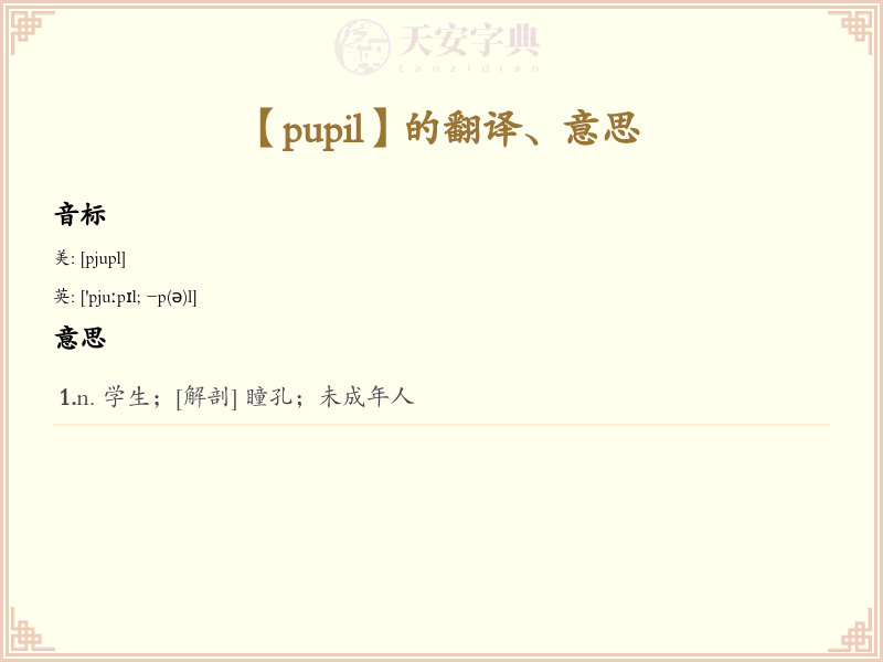 pupil