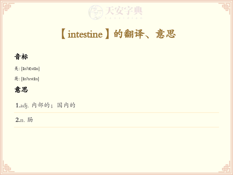 intestine