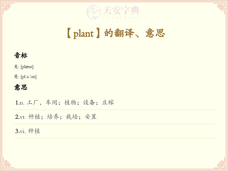 plant