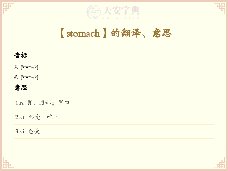 stomach