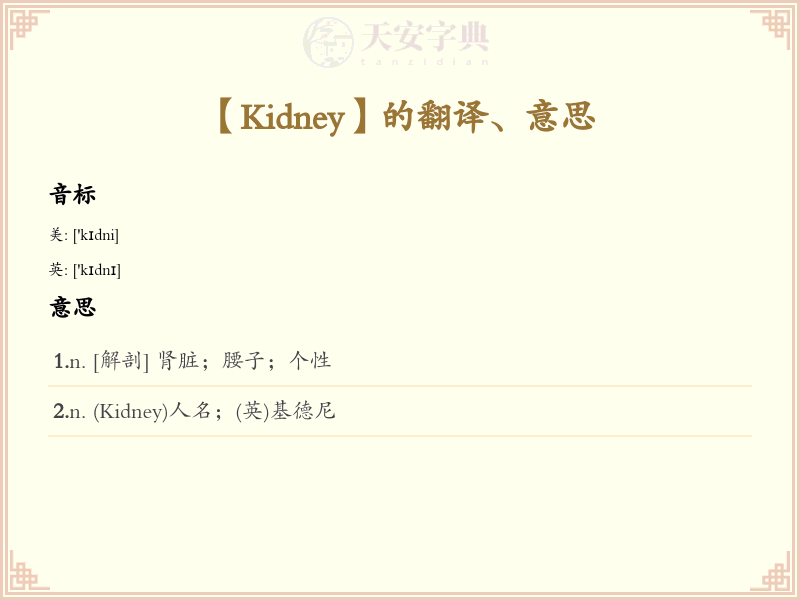 Kidney