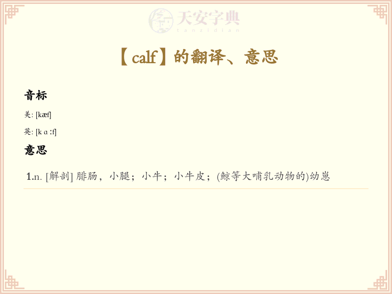 calf
