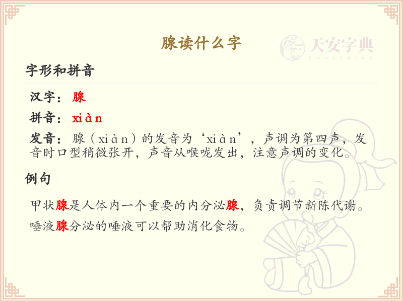 腺的拼音及中文解释_腺字读音详解