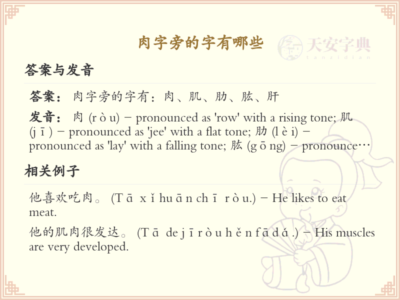 肉字旁的汉字有哪些_肉字旁的字