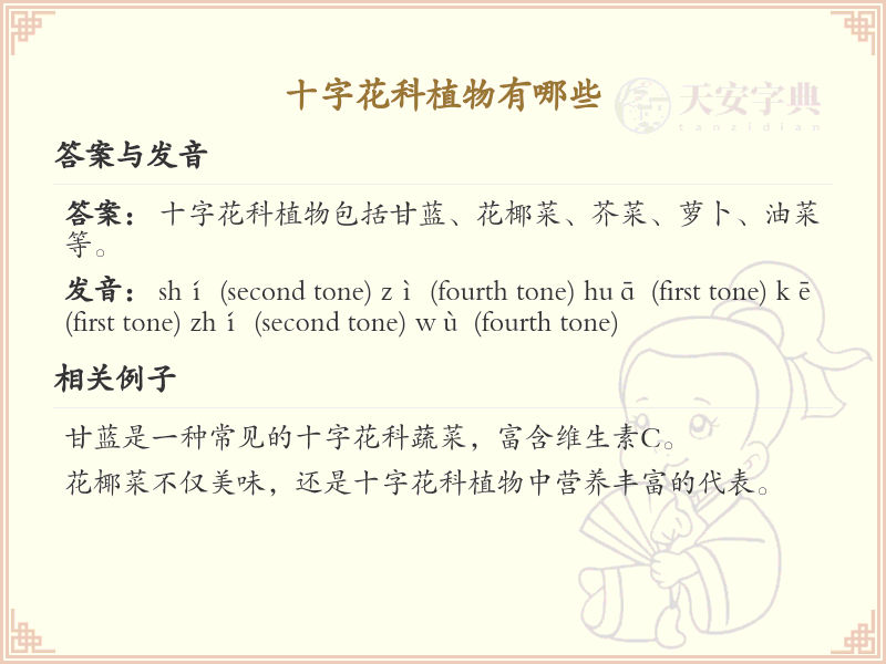 十字花科植物大全_十字花科植物种类及特点详解