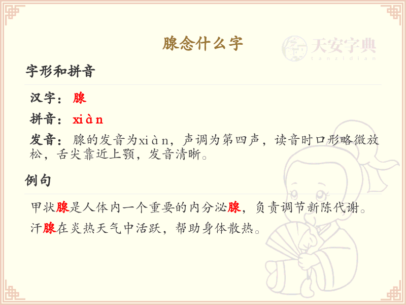 腺的拼音及中文解释_腺的读音和写法详解