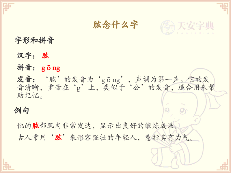 肱的正确读音及详细解析