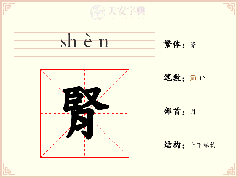 腎