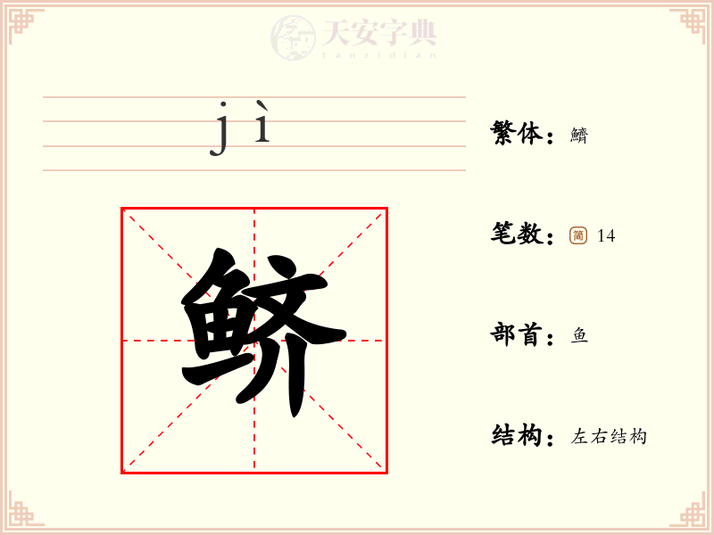 鲚