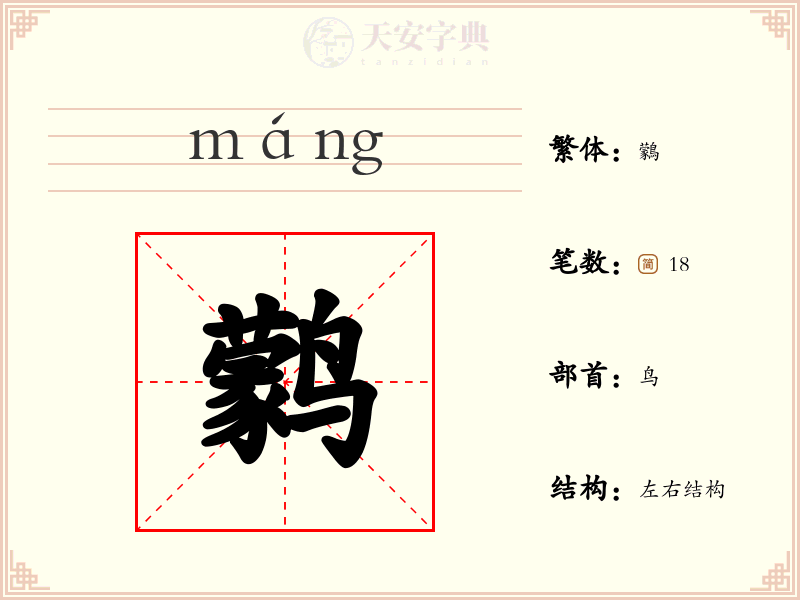鹲