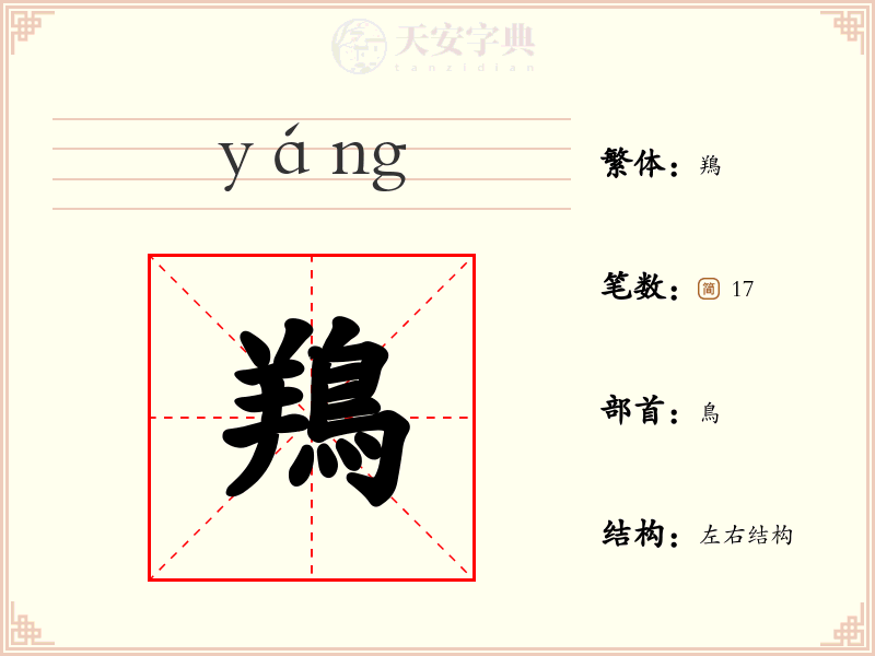 鴹