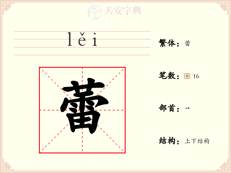蕾