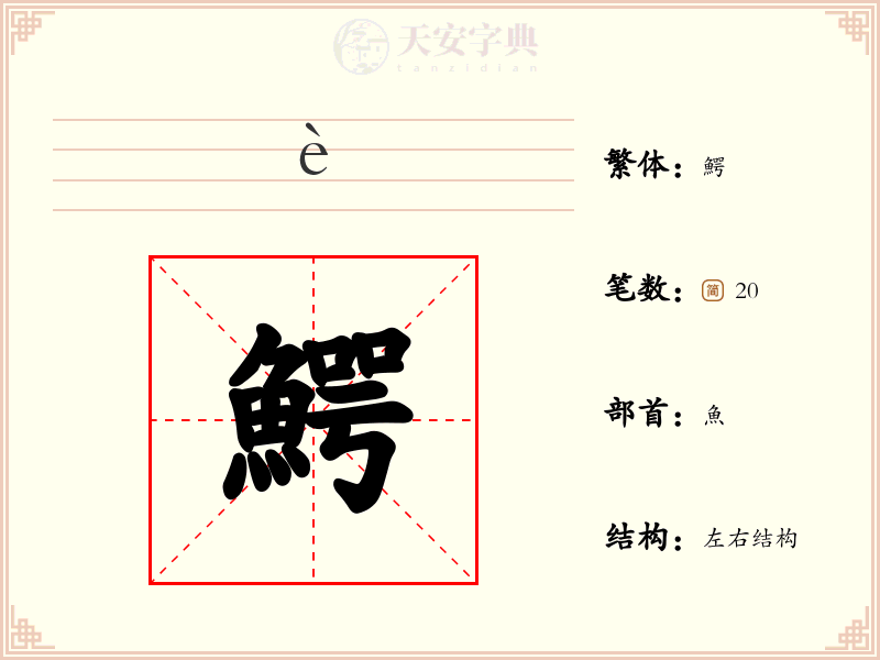鰐