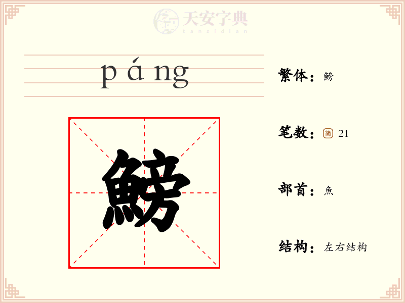鰟
