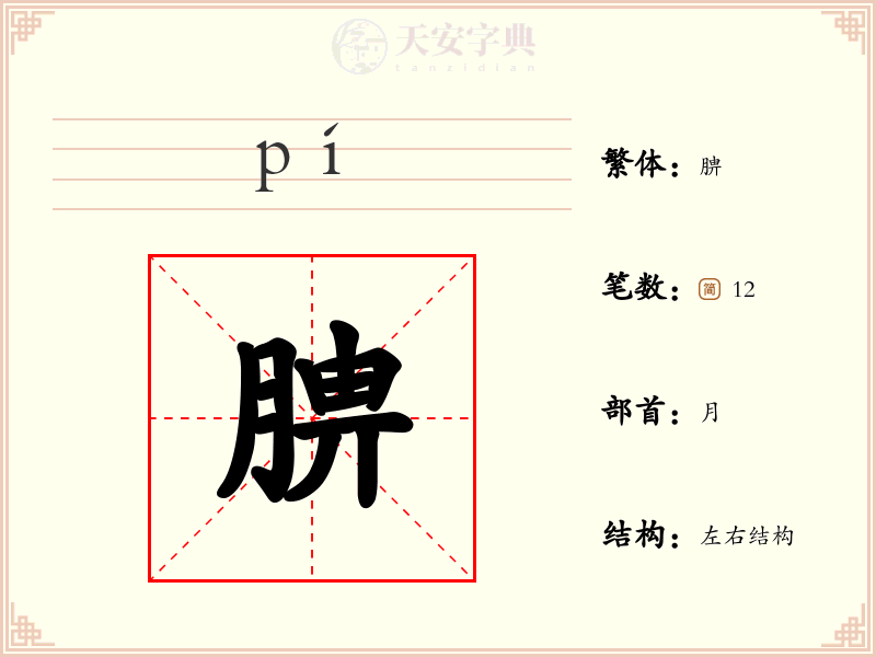 腗