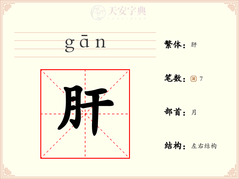 肝