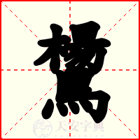 鸉