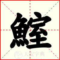 鰘