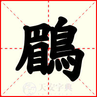 鶥