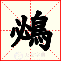 鴓