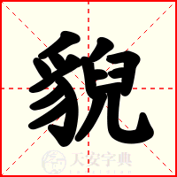 貎