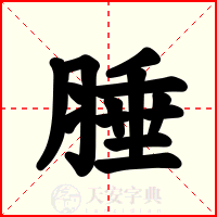腄