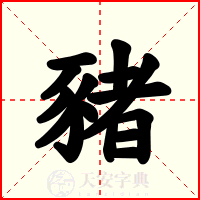 豬