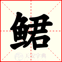 鲪