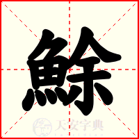 鮽