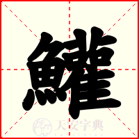 鱹