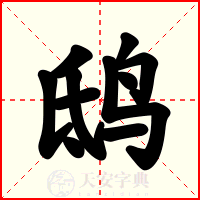 鸱