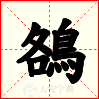 鵅