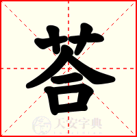荅