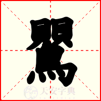 鸎