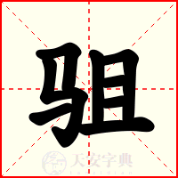 驵