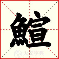 鰚