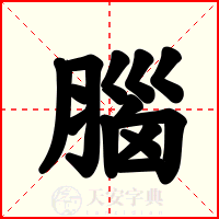 腦