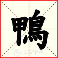 鴨