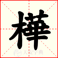 樺