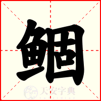 鲴