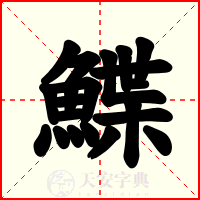 鰈