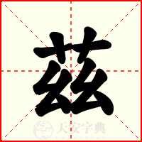 茲