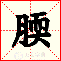 腝