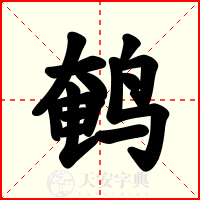 鹌